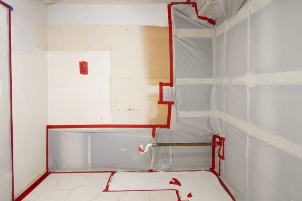 Dehumidification Services in North Salt Lake, UT