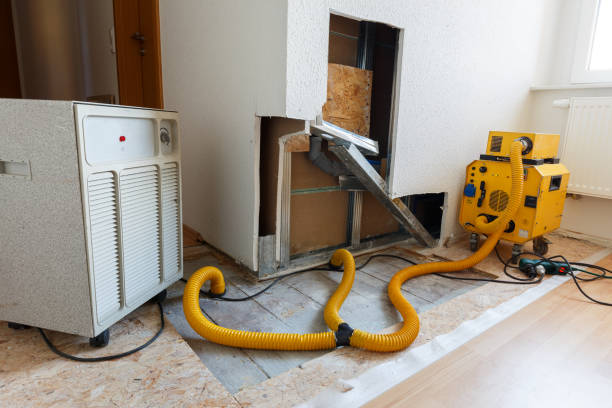 Best Indoor Air Quality Assessment  in North Salt Lake, UT