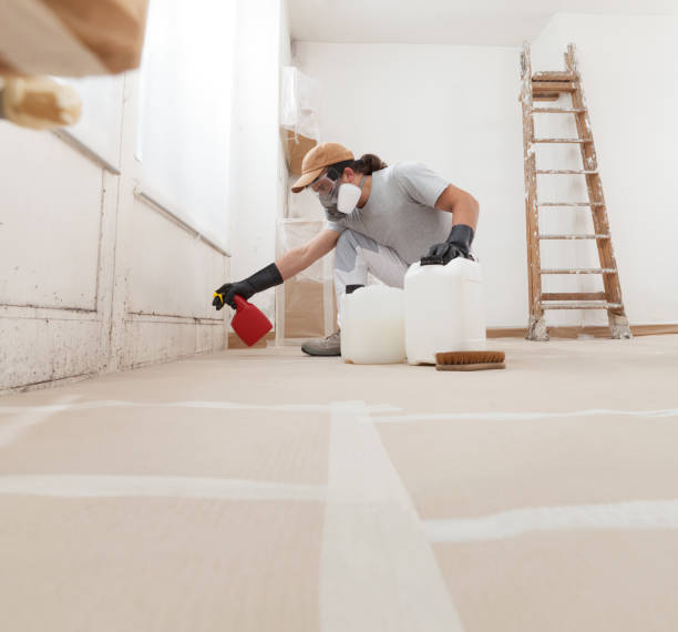 Best Industrial Mold Remediation  in North Salt Lake, UT